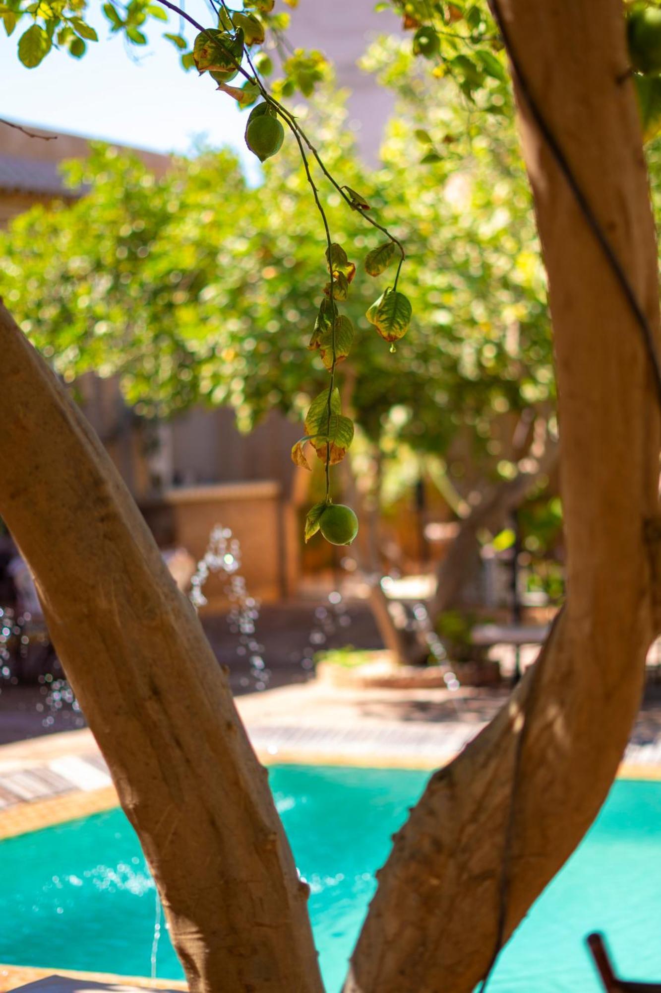 Riad Jnane Ines Taroudant Esterno foto